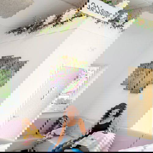 Cat Waiting Area | Mount Vets Pets Wellington Vet