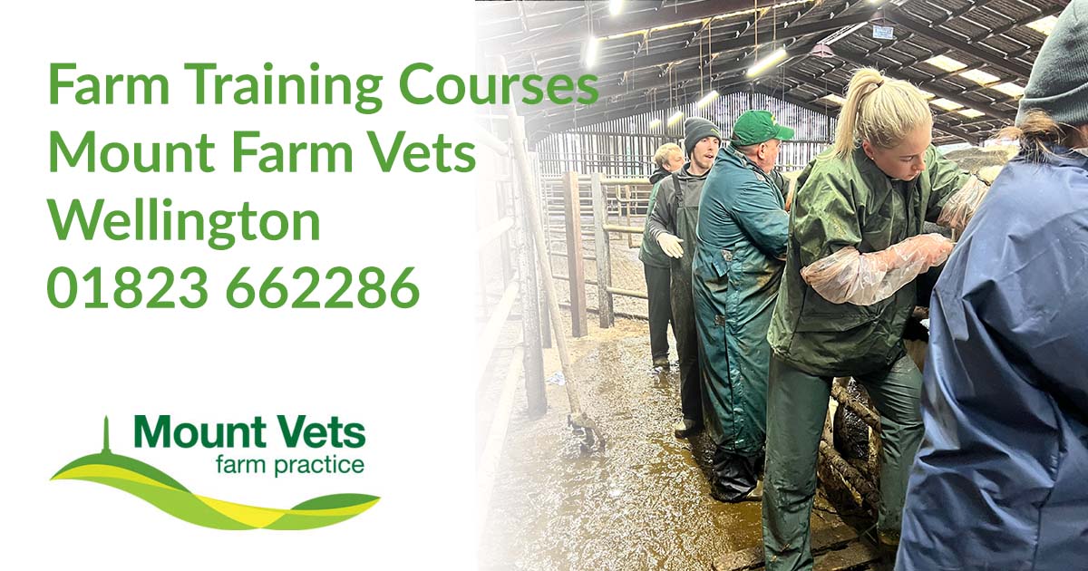 Farm Training Course Mount Farm Vets Wellington