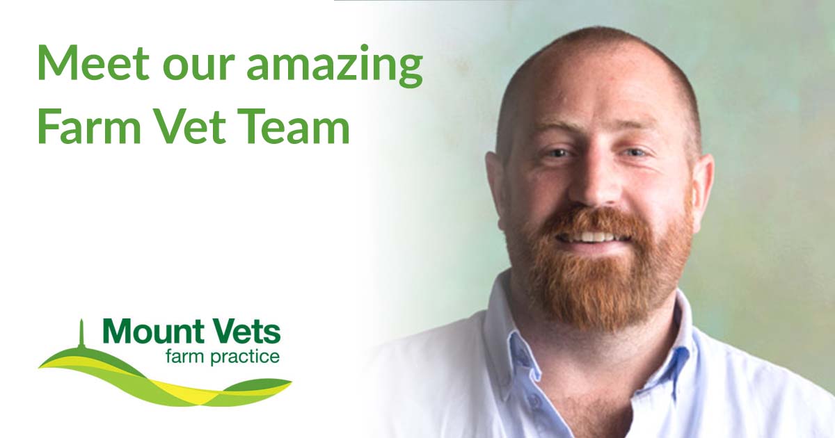 Meet our amazing Farm Vet Team Mount Vets