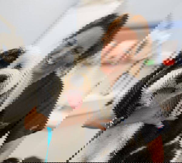 Mount Vets Active Pet Club | Exceptional Lifelong Care for Your dog