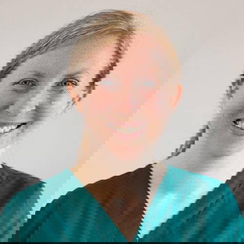 mount vets wellington somerset katrina night nurse