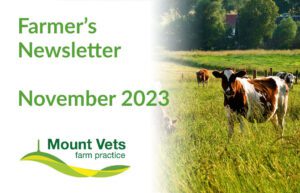 Mount Vets - Farmers Newsletter November 2023