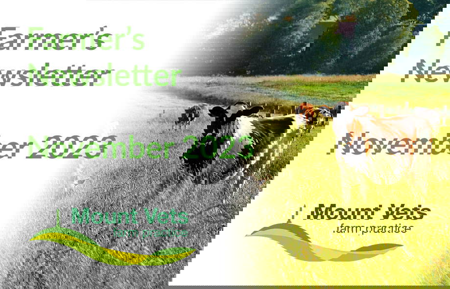 Mount Vets - Farmers Newsletter November 2023