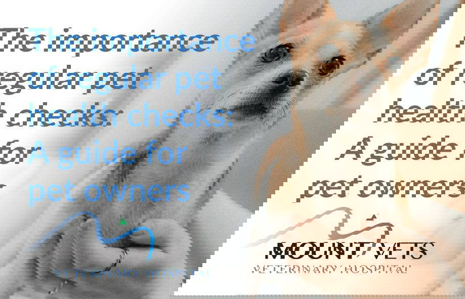 The importance of regular pet health checks