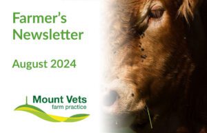 August 2024 Farmers Newsletter | Mount Farm Vets