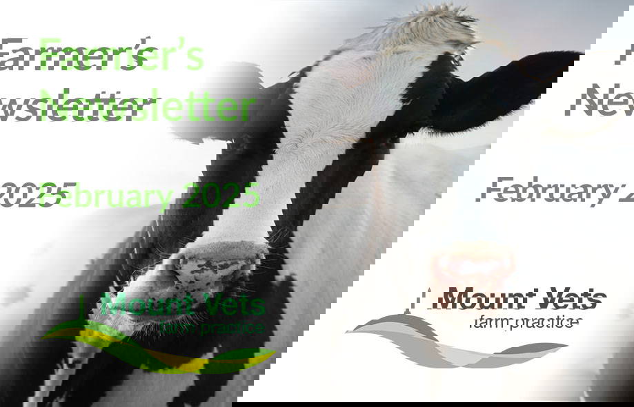 Farm Vet News | February 2025 | Mount Farm Vets