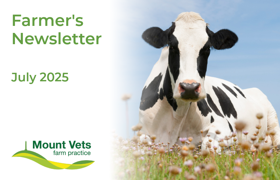 Farmer's Newsletter July 2025 | Mount Vets Farm