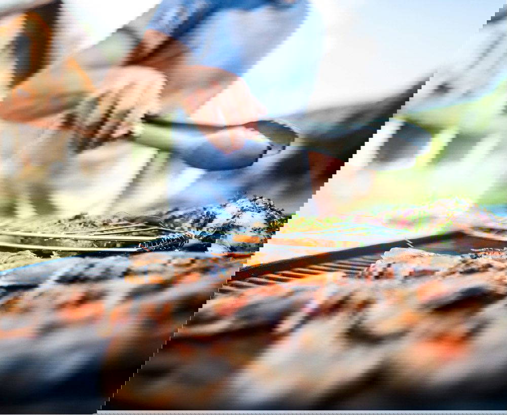 Hidden BBQ dangers every pet owner should know | Mount Vets Pets