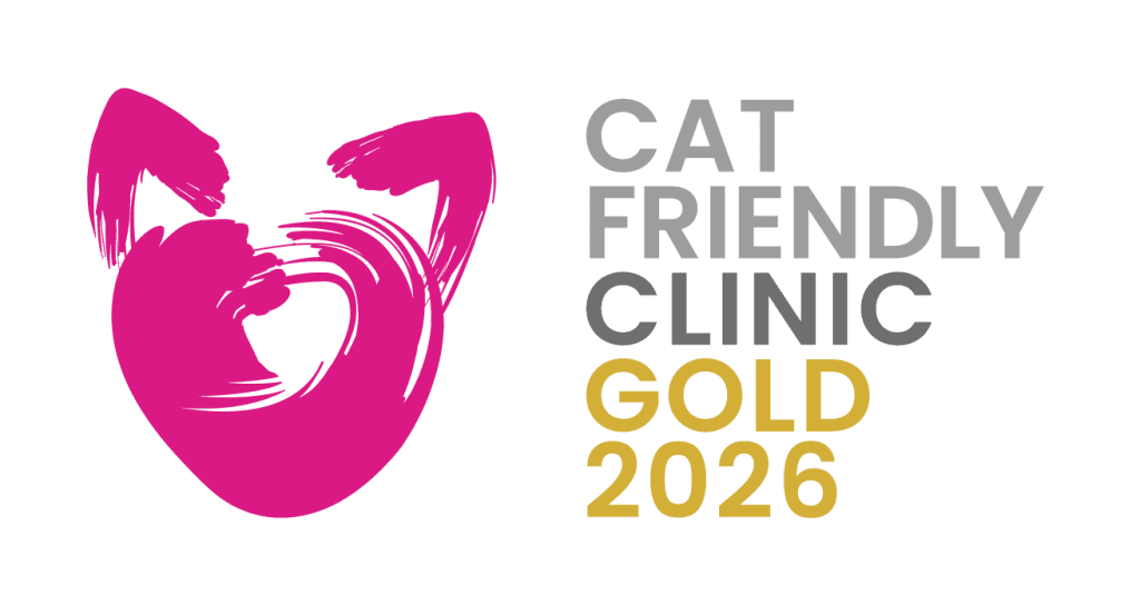 Gold Cat Friendly Clinic 2026 | Mount Veterinary Hopsital