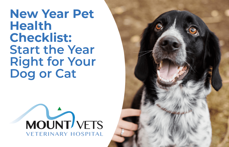 New Year Pet Health Checklist | Mount Vets